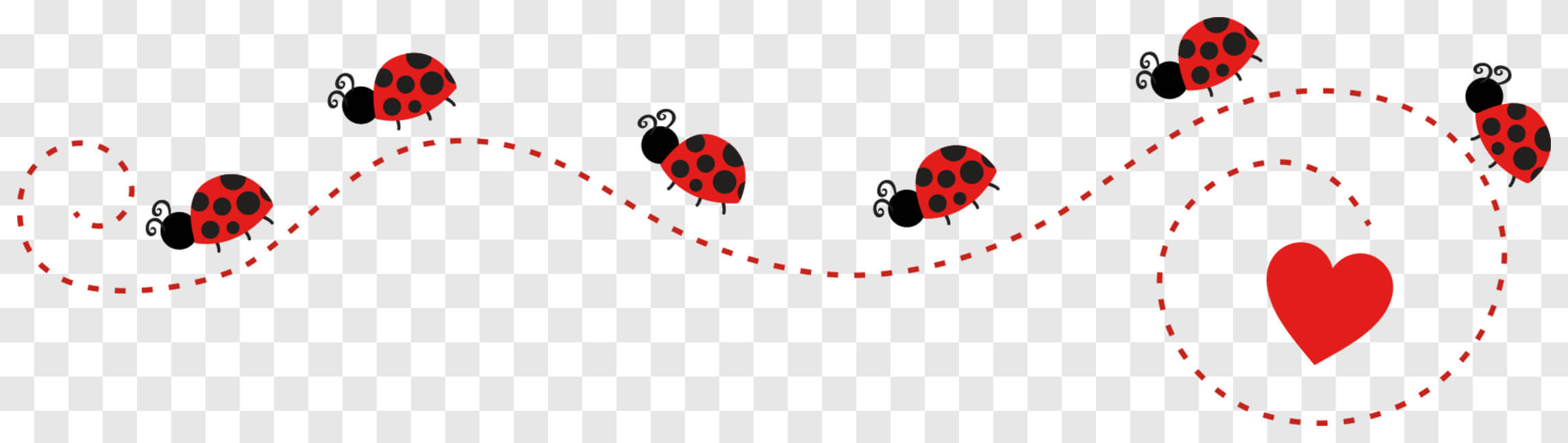 Baixe Joaninha Vermelha em Forma de Coração em Fundo Preto PNGs - Creative  Fabrica, image size:2289x647