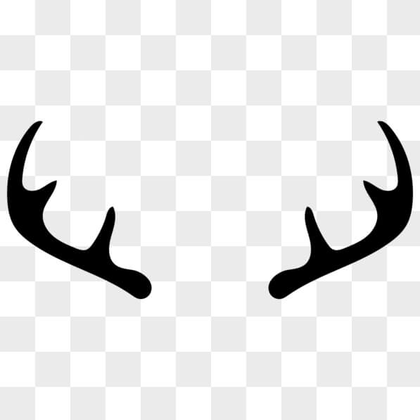 Download Decorative Deer Antlers For Home And Promotional Use Png 