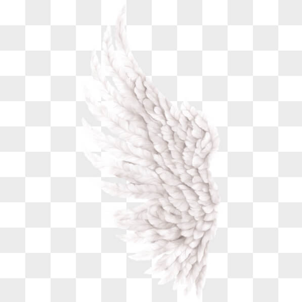 Download White Angel Wing in Flight PNGs Online - Creative Fabrica