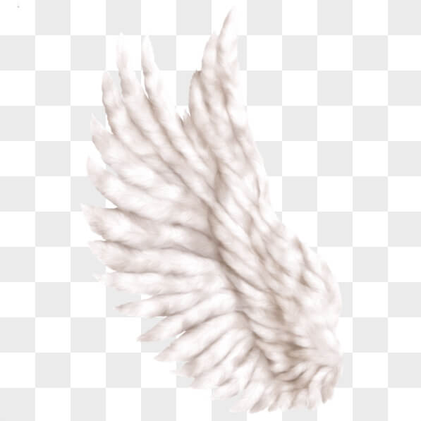 Download White Angel Wing Flying in the Air PNGs Online - Creative Fabrica