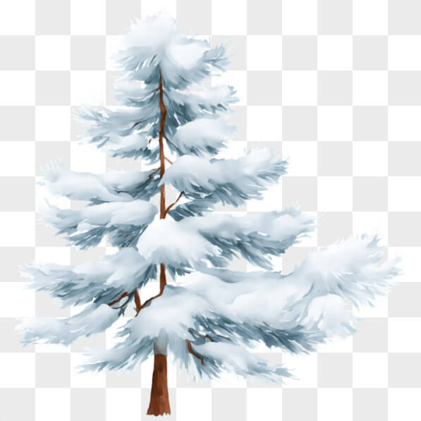 Download Snow-Covered Pine Tree for Winter Decoration PNGs Online ...