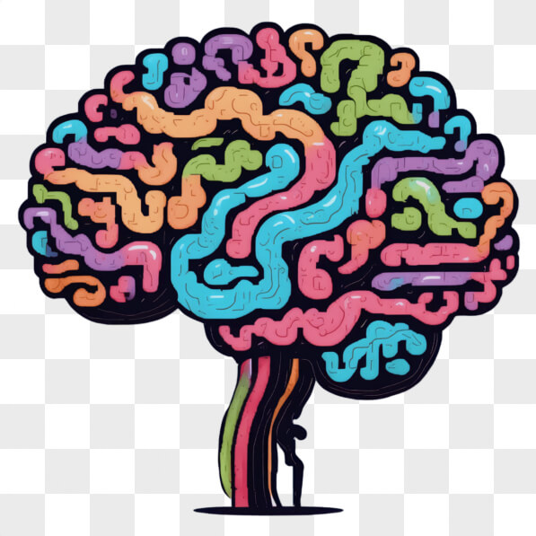 Complexity Of The Human Brain