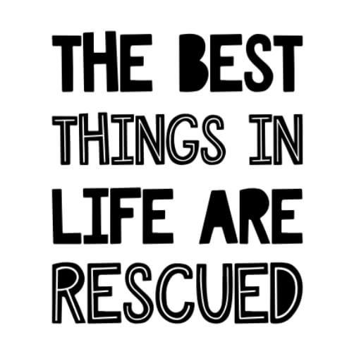 The Best Things in Life Are Rescued Poster