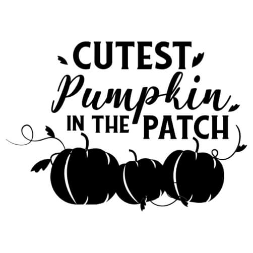 Download Pumpkin Patch with Cutest Pumpkin in the Patch Typography ...