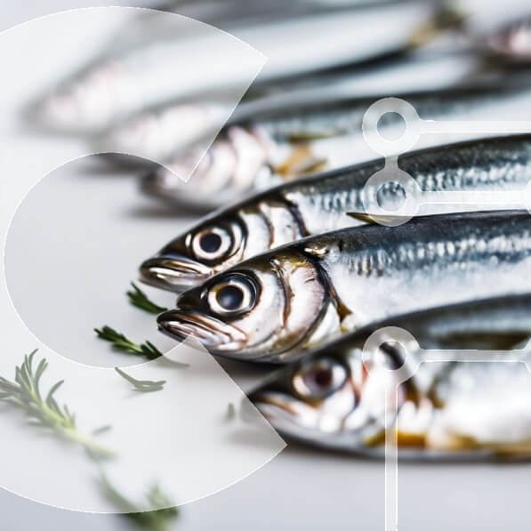 Delicious Fresh Sardines Ready to Eat stock photo Creative Fabrica