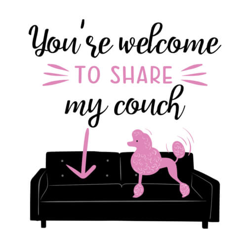 Poodle Sitting on Couch with Friendly Invitation