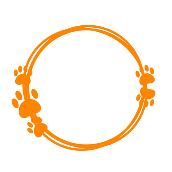 Dog Frame Images - Download Free & Premium Transparent Dog Frame Images ...