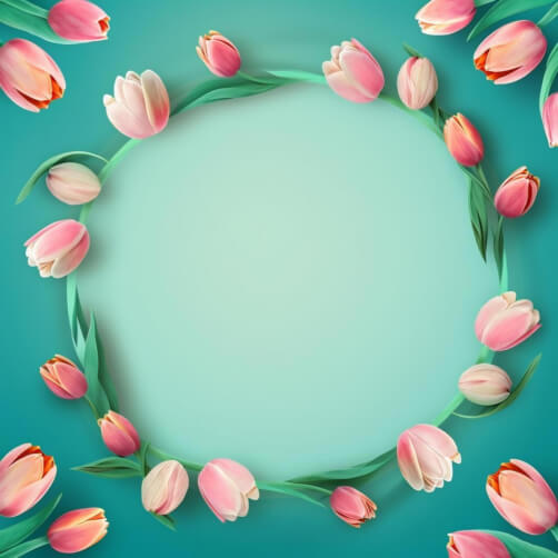 Pink Tulip Frame on Blue Background Pink Tulip Frame on Blue Background thumbnail