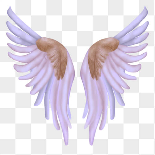 Pink and Brown Angel Wings