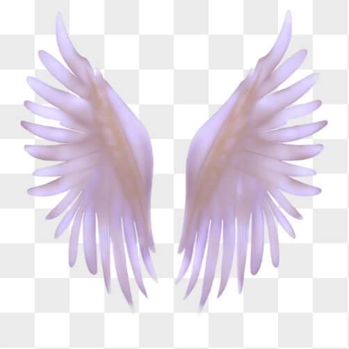 Download White Angel Wings on Black Background PNGs Online - Creative ...