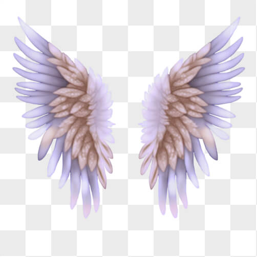 Pink and White Angel Wings