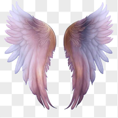 Pink and White Angel Wings