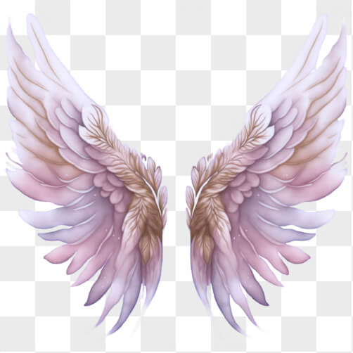 Pink and Brown Angel Wings