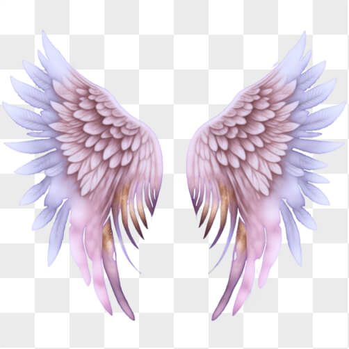 Pink and Purple Angel Wings