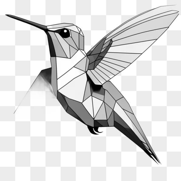 Descarga Dibujo Abstracto de Colibrí Bocetos En Línea - Creative Fabrica