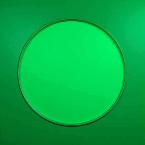 Green Circular Frame for Displaying Images and Videos