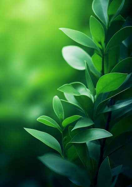 2gH92kxIZixCwWGtiMt8qNK0yqi-desktop.jpg