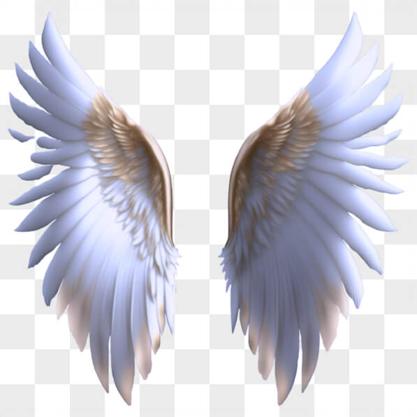 Download White Angel Wings PNGs Online - Creative Fabrica