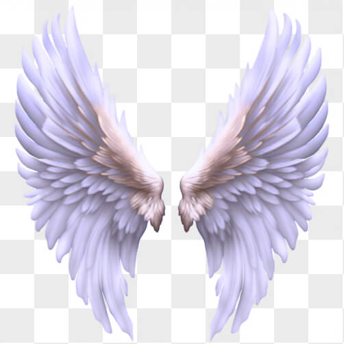 Download White Angel Wings on Black Background PNGs Online - Creative ...