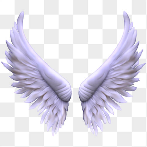 Download White Angel Wings on Black Background PNGs Online - Creative ...