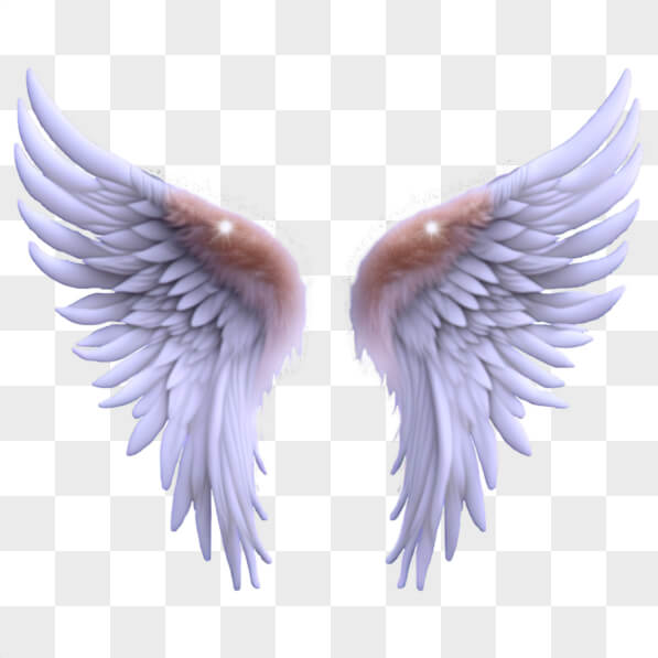 Download White Angel Wings Art PNGs Online - Creative Fabrica