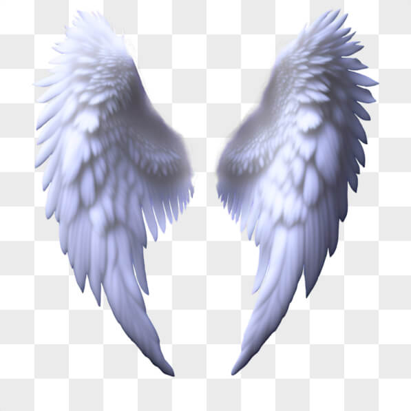 Download White Angel Wings on Black Background PNGs Online - Creative ...