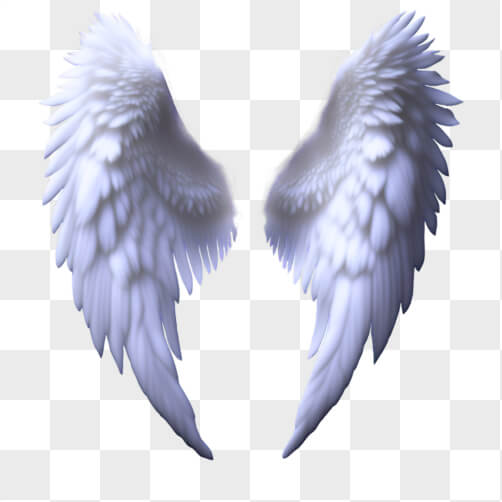 Download White Angel Wings on Black Background PNGs Online - Creative ...
