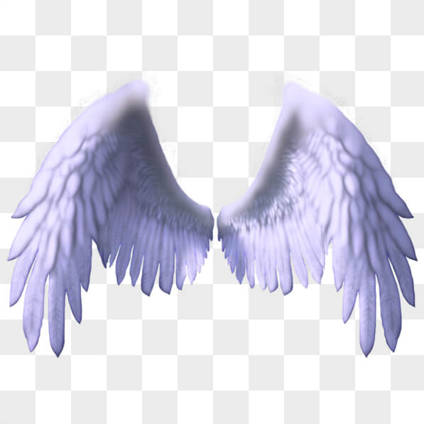 Download White Angel Wings PNGs Online - Creative Fabrica
