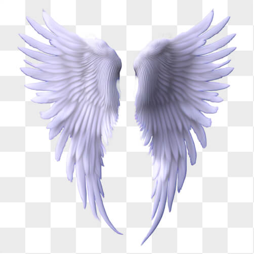 Download White Angel Wings PNGs Online - Creative Fabrica