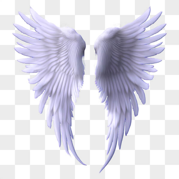 Download White Angel Wings on Black Background PNGs Online - Creative ...