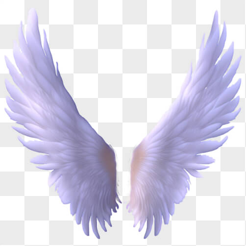 Download White Angel Wings PNGs Online - Creative Fabrica