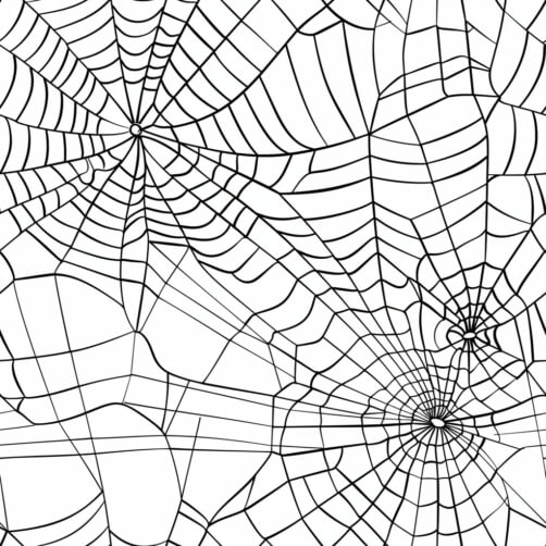 Download Black and White Spider Web Pattern Backgrounds Online ...