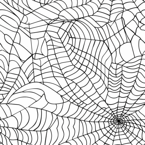 Download Black and White Spider Web Coloring Page Patterns Online ...