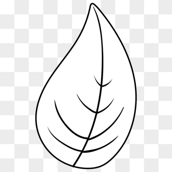 Download Educational Leaf Drawing PNGs Online - Creative Fabrica