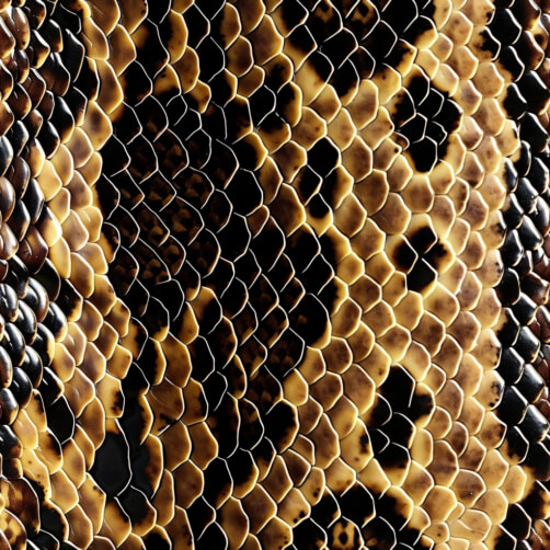 Download Abstract Snake Skin Pattern Background Patterns Online ...