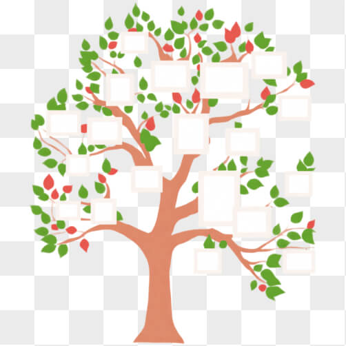Family Tree PNG - Download Free & Premium Transparent Family Tree PNG ...