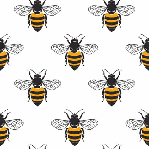 Seamless Bee Pattern on White Background Seamless Bee Pattern on White Background thumbnail