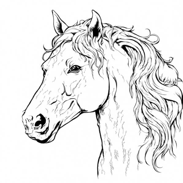 Baixe Ilustra o Detalhada Da Cabe a De Um Cavalo Colorir P ginas baixe-ilustra-o-detalhada-da-cabe-a-de-um-cavalo-colorir-p-ginas