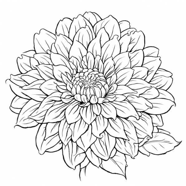 Download Black and White Flower Drawing Coloring pages Online ...