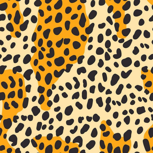Download Orange and Black Leopard Print Pattern on White Background ...