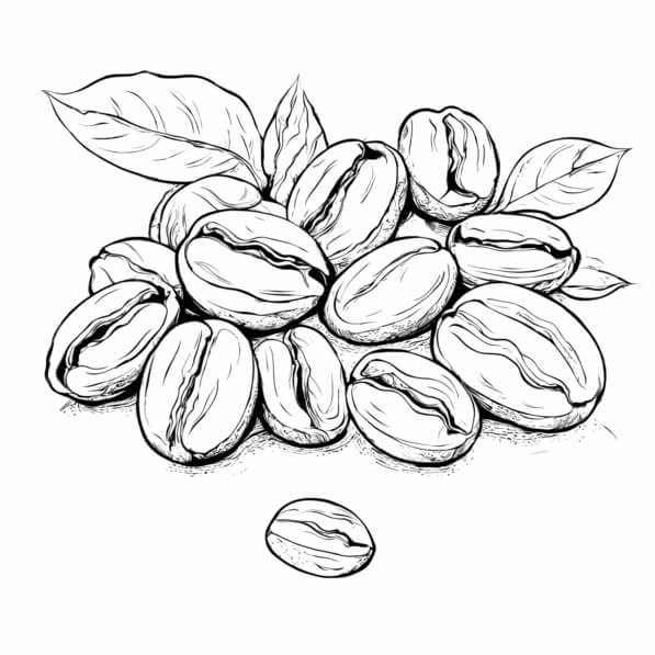 Dessin Grains De Caf