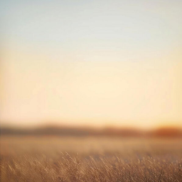 Download Man Walking in Open Field at Sunset Backgrounds Online ...