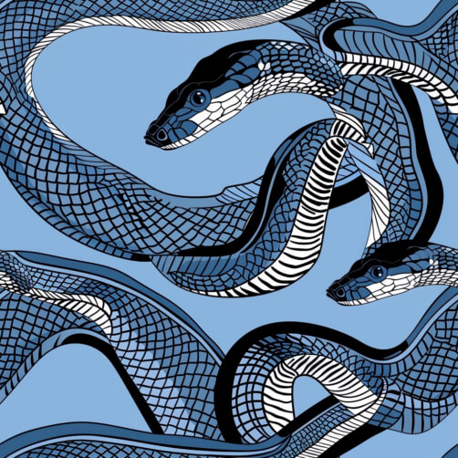 Download Black and Gold Snake Skin Pattern Patterns Online - Creative ...