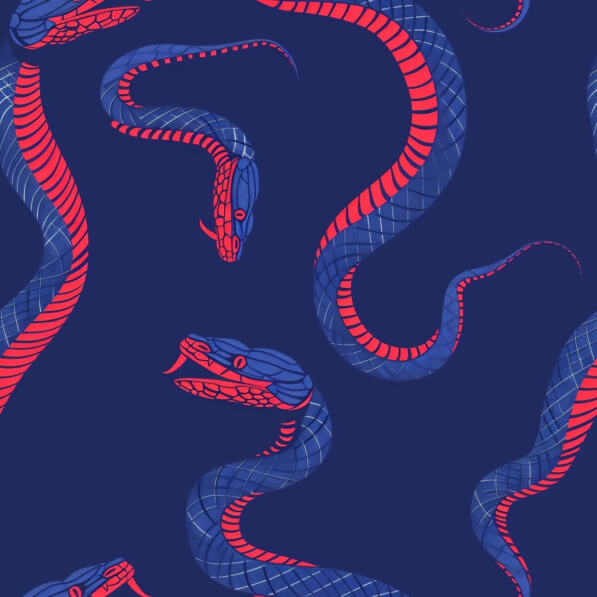 Download Seamless Red and Blue Snake Pattern Patterns Online - Creative ...