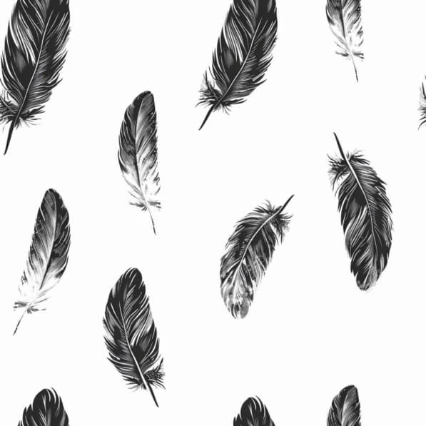 Download Black and White Feathers Seamless Pattern Patterns Online ...