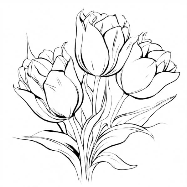 Download Tulip Bouquet in Monochrome Outline Coloring pages Online ...