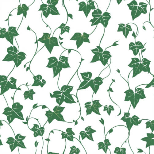 Ivy Patterns - Download Seamless Ivy Patterns for Free - Creative Fabrica