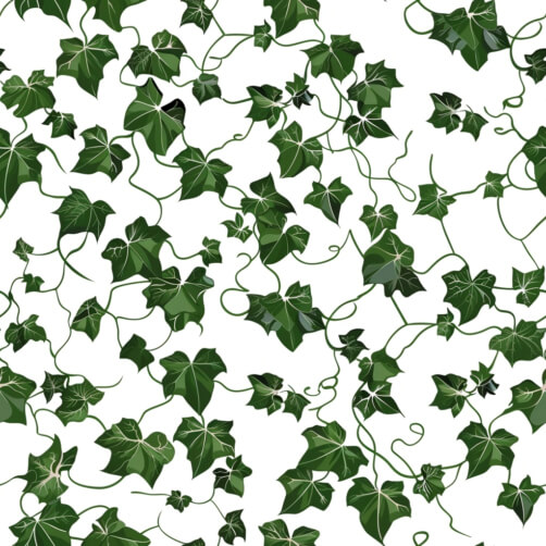 Ivy Patterns - Download Seamless Ivy Patterns for Free - Creative Fabrica