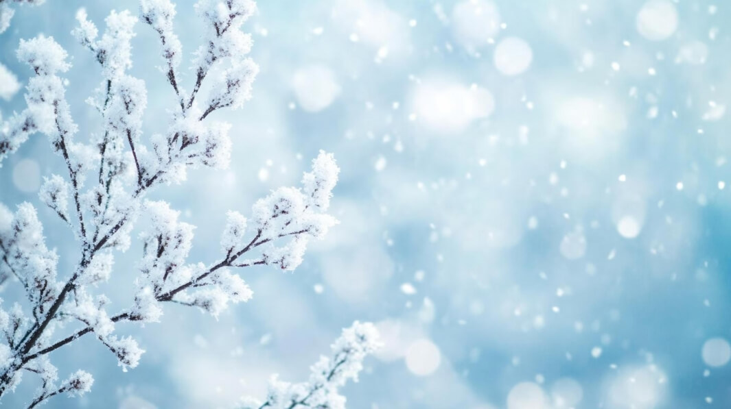 Fall Snow Winter Background Download Winter Wonderland with Snow-Covered Branches Backgrounds ...
