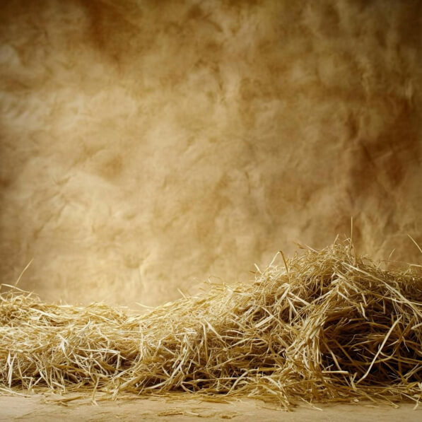 Download Mound of Straw on Textured Background Backgrounds Online ...